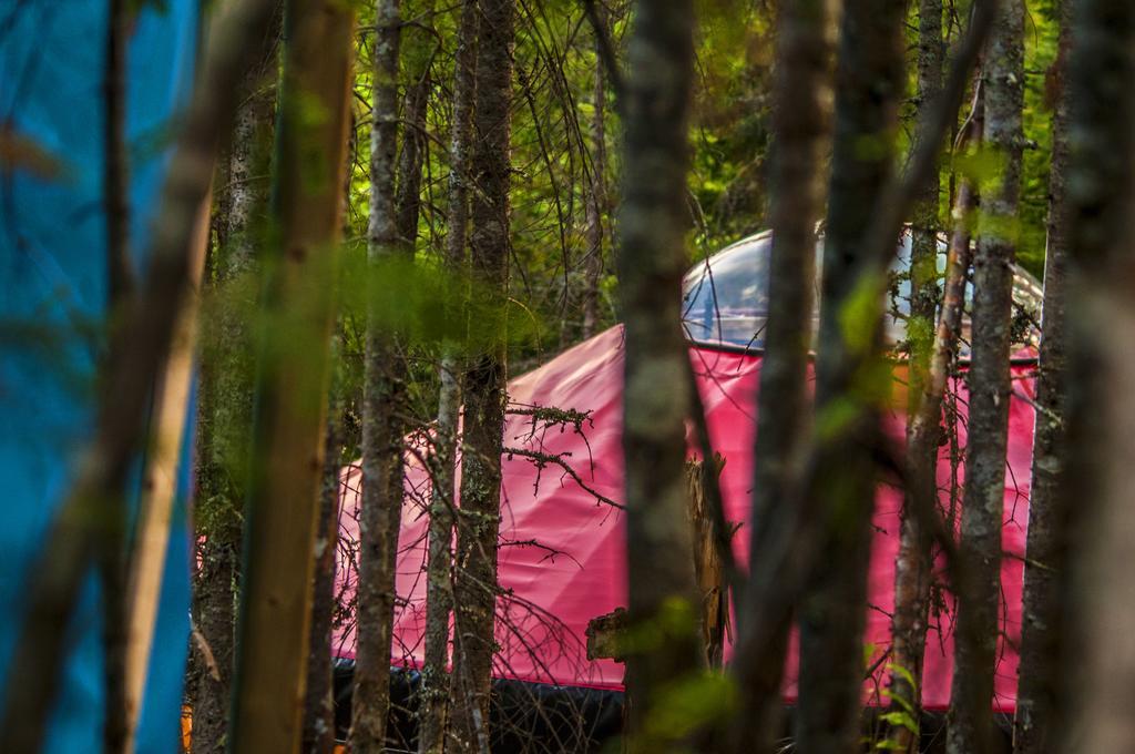 Luxury tent Imago Village